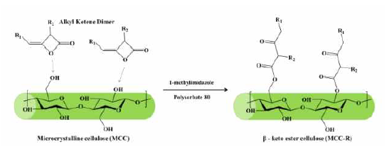 Microcrystalline cellulose의 표면 개질 scheme