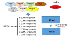 지속적인 심장전구세포 배양 조건을 검증하기 위한 다양한 ECM에 따른 실험 모식도