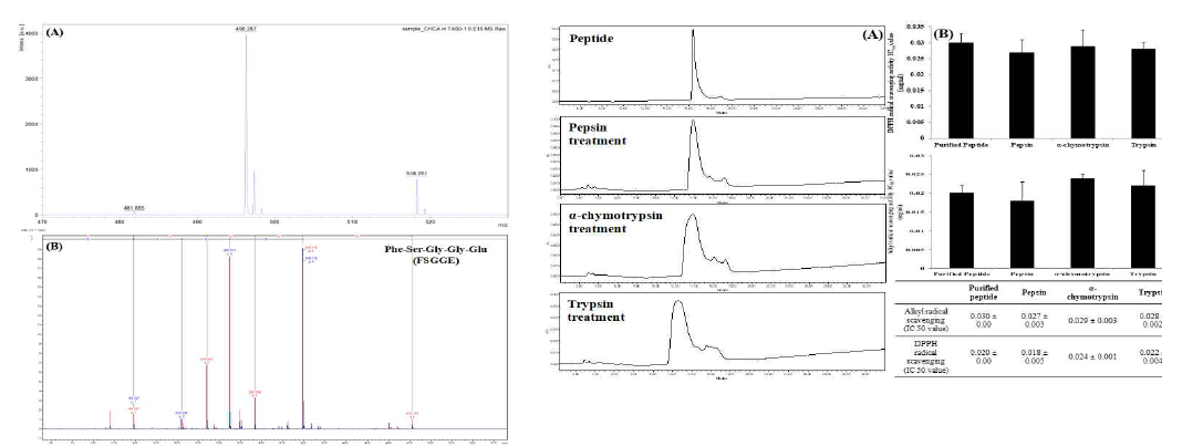 갈치 Pepsin 효소 가수분해물 유래 펩타이드 시퀀스 및 Radical 소거능