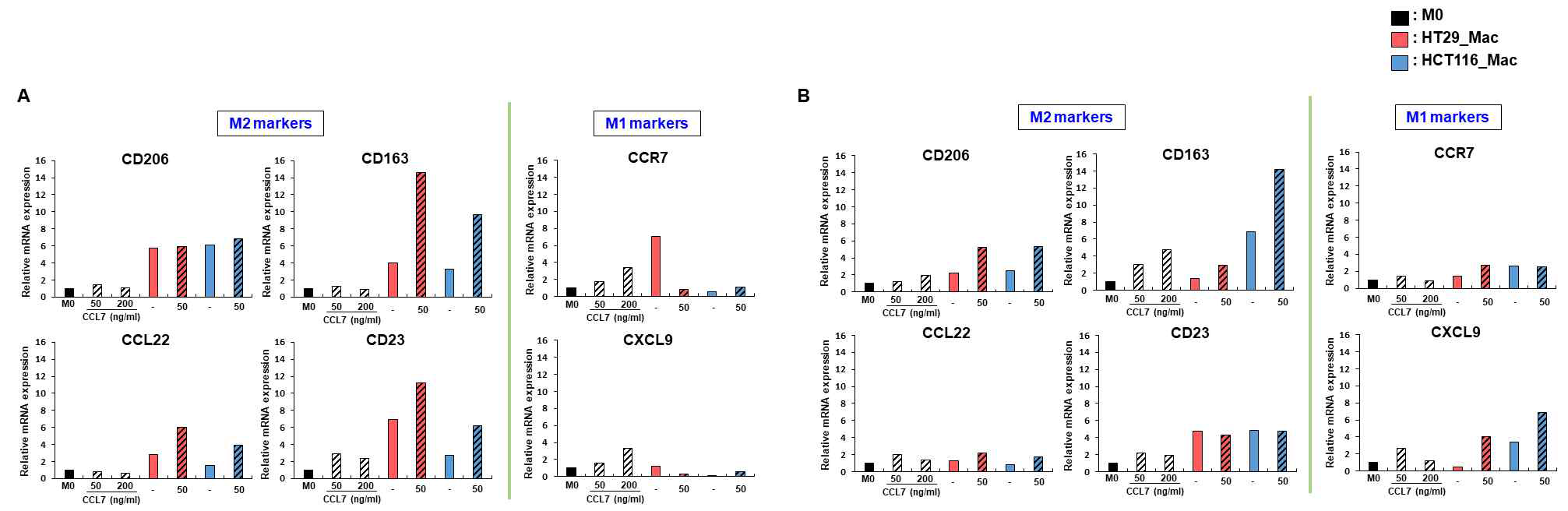 CCL7의 TAM 분화에 미치는 영향