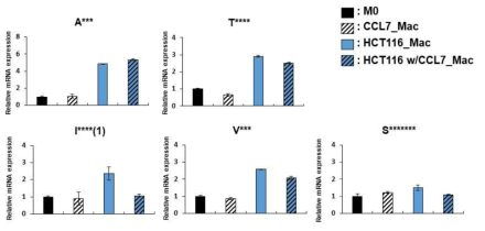 대장암 환자 조직 RNA sequencing 분석을 통한 TAM 연관 유전자 발현