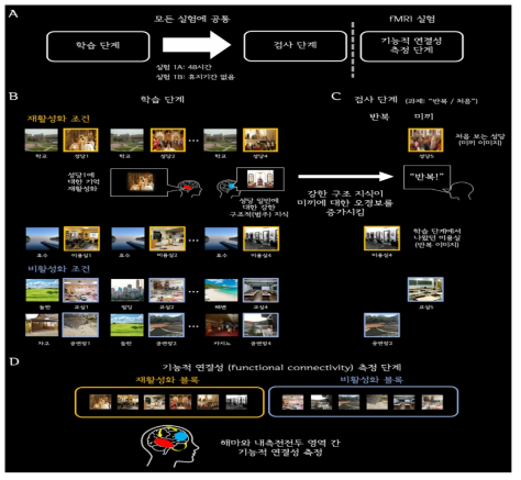 A. 일반적인 실험 절차. 모든 실험은 공통으로 학습 단계와 검사 단계를 포함함. 실험 1A에서 검사 단계는 학습 후 72시간 후에 수행됨. 실험 1B에선 학습과 검사 단계 사이에 휴지 기간이 없음. fMRI 실험에서는 기능적 연결성 측정 단계가 검사 단계 후에 추가됨. B. 학습 단계 설계와 구체적인 예상. 재활성화 조건에서는 같은 범주에 속하는 네 개의 하위 배경 이미지들이 공통된 사전 배경 이미지 다음 제시됨. 사전 이미지가 반복 됐을 때,뇌는 사전 이미지와 연합됐던 이전 기억을 재활성화시키고, 이를 현재 경험과 비교하여 구조적(범주적) 지식을 효율적으로 파악함. 재활성화 조건과 달리 비활성화 조건에선 하위 배경 이미지들이 서로 다른 사전 이미지들 후에 제시됨. C. 검사 단계 예시. 절반의 범주의 경우, 실제로 제시된 적이 없는 이미지(예: 처음 보는 성당 5,교실5)들이 미끼 조건으로 제시되며, 나머지 범주의 경우엔 학습 단계에서 제시된 이미지의 일부가 반복됨(반복조건;, 예: 미용실4, 공연장2).참가자들은 주어진 이미지가 학습 단계에서 봤던 것인지(“반복”), 처음 보는 것인지(“처음”) 보고함. 재활성화 조건의 강한 구조적 지식은 미끼 이미지에 대한 오경보율(“반복”이라고 잘 못 반응하는 비율)을 증가 시킬 것으로 예상함. D. 기능적 연결성 측정 단계. 재활성화, 비활성화 두 조건의 이미지들이 각 블록에서 제시되며, 각 조건에서의 해마-내측전전두 영역간 기능적 연결성을 측정함