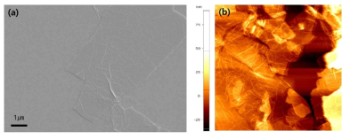 GO-PA 박막을 랭뮤어-쉐퍼 적층법으로 제작하여 표면을 분석함. (a) SEM 이미지, (b) AFM 이미지