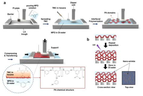 (a) 랭뮤어-쉐퍼 기법을 통해 제작되는 PA 박막 복합체의 공정 그림, (b) 다층의 PA 박막을 적층한 후 UV 조사하는 방법의 그림