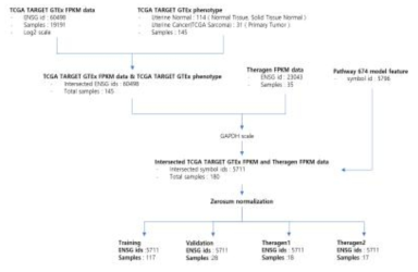 본 연구 PathDeep 학습에 사용된 자궁근종 데이터 전처리