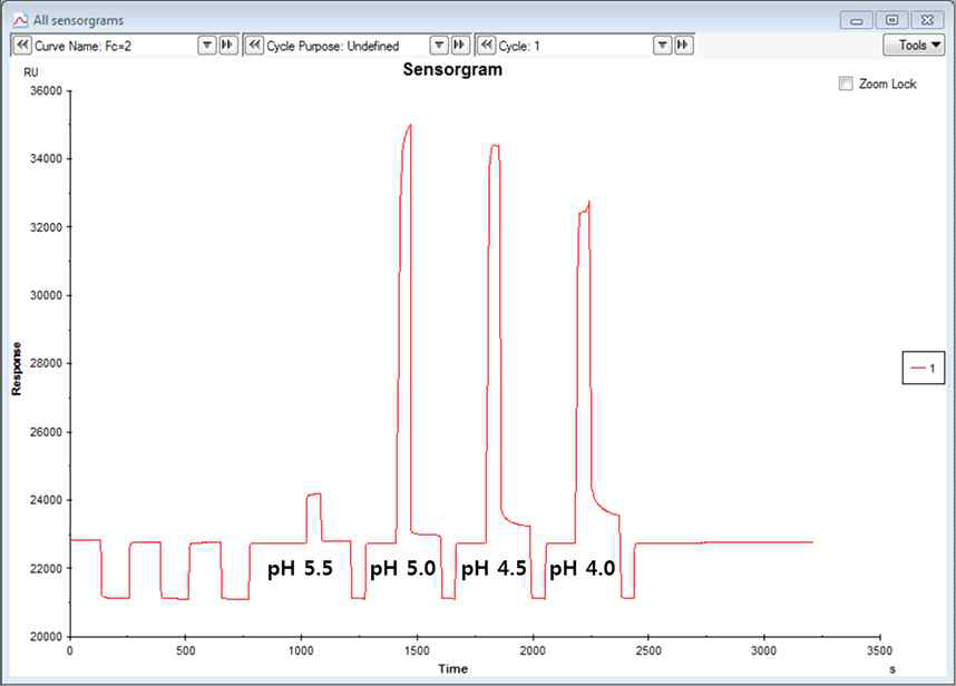 Immobilization buffer의 pH 변화를 통한 sensor chip과 단백질의 반응 결과