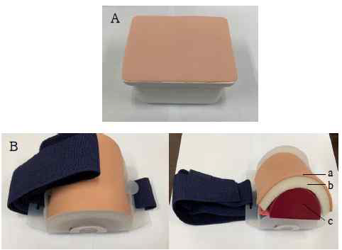 Medical practical goods A: IM injection pad B: Injection trainer (a: epidermis & dermis, b: fat, c: muscle)