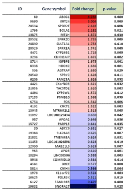 RNA Seqencing 분석 결과 DEG(Differential Expressed Gene)