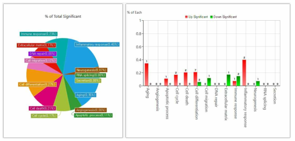 DEG(Differential Expressed Gene)의 Gene Category Chart