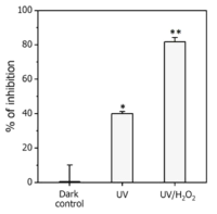 UV 및 UV/과수공정에서 발생한 침출물의 β-galactosidase 저해율