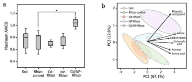 Cd, 미세플라스틱, Cd/미세플라스틱 처리한 미생물 군집의 (a) AWCD값과 (b) 탄소원 PCA 결과