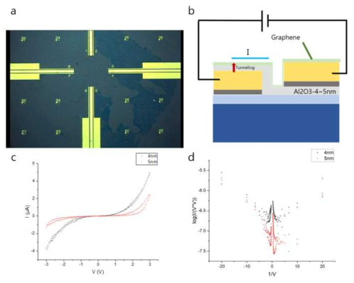 그래핀/산화 알루미늄/금 구조의 전자 터널링 구조 (a, b)와 이 터널링 구조의 전자 터널링 특성 (c, d). 인가한 터널링 전압에 따라 Direct tunneling에서 Fowler-Nordheim 터널링으로의 변화를 보여줌
