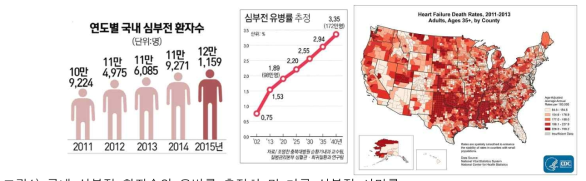 국내 심부전 환자수와 유병률 추정치 및 미국 심부전 사망률