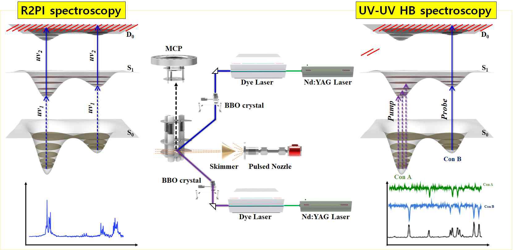 작은 생분자의 전자전이 스펙트럼 (R2PI) 분석 및 이성질체 분리 (UV-UV HB)