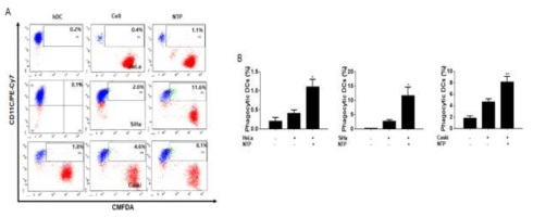 바이오 플라즈마 유래 자궁경부암 세포사멸체 dendritic cell phagocytosis assay.(A) Phagocytosis FACS analysis. (B) FACS 정량 데이터