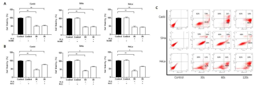 Scavenger에 의한 바이오 플라즈마 처리 자궁경부암 세포주의 세포사멸효과 변화. (A) NAME를 처리한 자궁경부암 세포주(Caski, SiHa, HeLa), (B) NAC를 처리한 자궁경부암 세포주(Caski, SiHa, HeLa), (C) 바이오 플라즈마 처리시간에 따른 자궁경부암 세포의 necrosis, apoptosis analysis