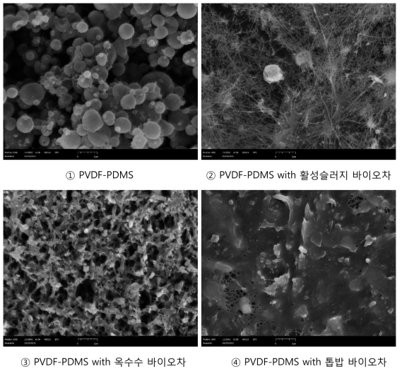 다양한 형태의 biochar를 주입한 전기방사코팅