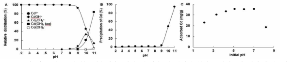 pH에 따른 카드뮴의 분포비율 (A), 침전효율 (B) 및 랜더링 부산물 탄화물에 의한 흡착특성 (C)