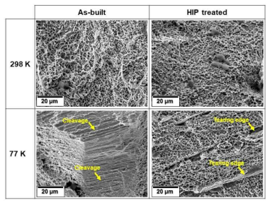 상온(298K) 및 극저온(~77K) 온도에서 단축 인장 시험 후 as-built 및 HIP 처리 CrCoNi MEA-DED 시편의 파면 SEM 이미지