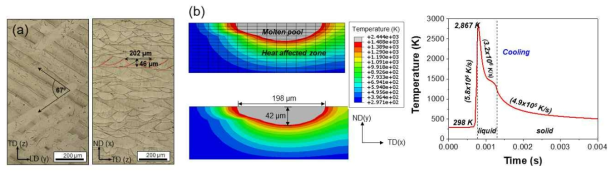 (a) as-built CrCoNi 시편의 단면에서 관찰한 용융 및 적층 구조 및 (b) 용융 풀 형태 및 온도 이력에 대한 유한요소해석 결과
