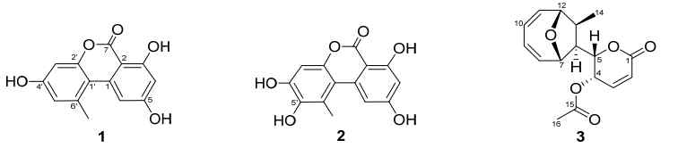 분리화합물의 구조. 1, AT; 2, HAT; 3, MED