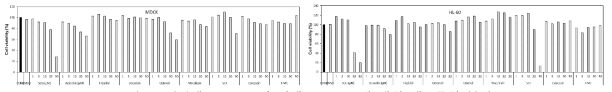 정상세포 MDCK와 암세포 HL-60에 대한 세포독성 분석