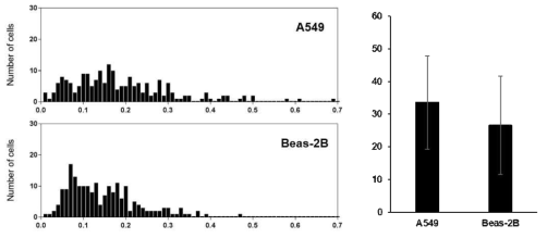 폐 암세포(A549)와 폐정상세포(Beas-2B) migration pattern 분석: (좌) directness (우) fade-out frequency