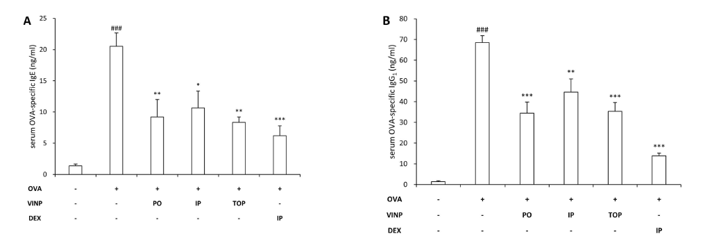 Production of OVA-specific IgE and IgG1 in serum