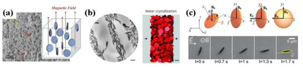 판상입자의 배향 제어. (a) 자장인가, (b)물 결정화, (c) 수직 전기장(E)과 자기장(B) 동시 인가
