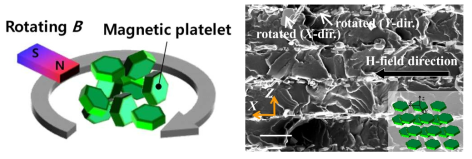 Magnetically orientation 개요도(왼편)와 입자배향된 12 Vol% Ba3Z/PU 복합재료(오른편)
