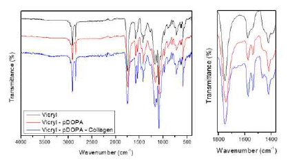 pDOPA 코팅된 vicryl에 콜라겐 코팅 후 FT-IR 스펙트럼