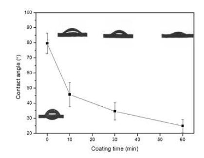pDOPA 코팅된 vicryl에 콜라겐 코팅시간에 따른 접촉각 변화