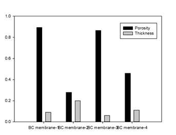 Relationship between porosity and thickness of BC leather