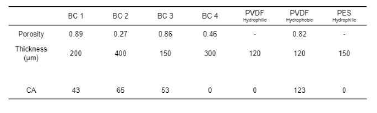 Porosity of BC and Reycled bio leather