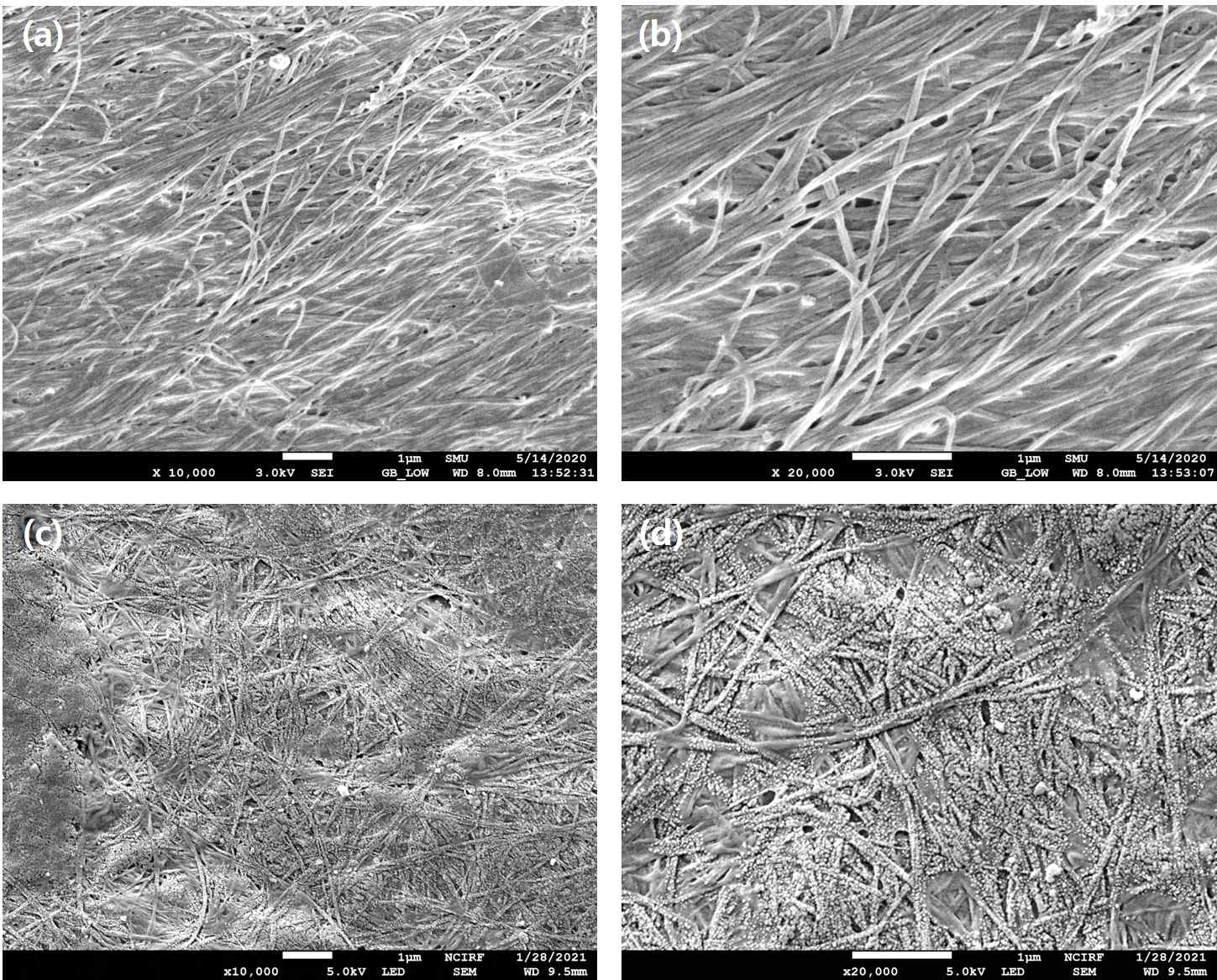 SEM images of a, b untreated BC; c, d BC-COF bio-leather at 10,000 magnification, respectively, with a scale bar of 1 μm