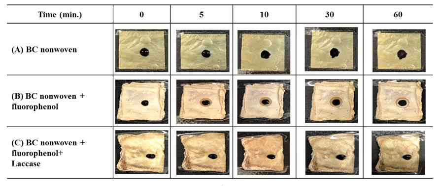 Absorption profiles of a water droplet with a disperse dye (C.I. Disperse blue 284) solution on (A) BC nonwoven, (B) BC nonwoven + fluorophenol, and (C) BC nonwoven + fluorophenol + laccase (10 mM fluorophenol; laccase (190 U/mL); 50 °C for 24 h)