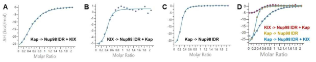 ITC에서 관찰된 CBP KIX와 Kap간 협동성(cooperativity)에 의한 CBP KIX와 Nup98 IDR간 상호작용