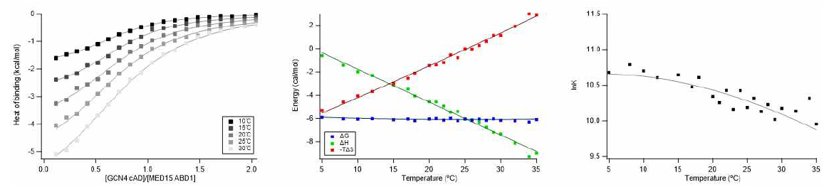 GCN4 cAD – Med15 ABD1 상호작용의 ITC 실험 및 복합체 안정성의 phase diagram (온도)