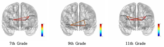 Brain network development model in the process of ‘Accommodation’ in adolescents
