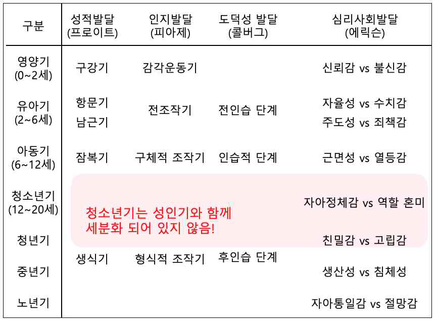 주요 인지발달 이론에서 청소년 단계의 소외