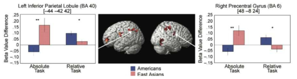 동아시아인과 미국인의 주의 조절 과제 수행 시 두뇌 활성 차이