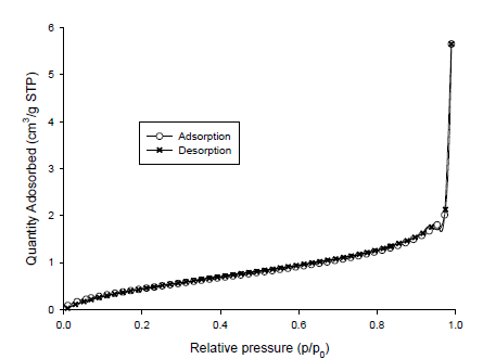 BET-isotherm plot of sodium carbonate microcapsules coated with Kollicoat Smartseal 30D