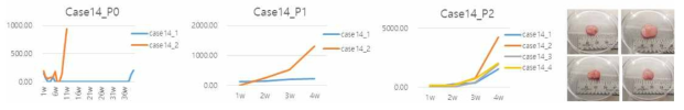 방광암 이종이식 모델 case 14번의 2차 계대 성장 곡선