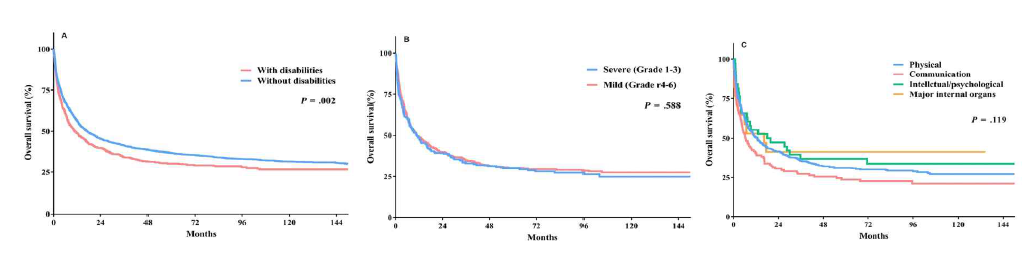 Overall survival curves. A: Comparison by presence of a disability. B: Comparison by severity of disability. C: comparison by type of disability