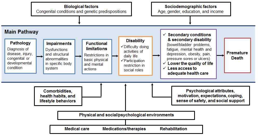 만성질환-장애-조기사망의 인과적 경로 *Modified from Guccione AA: Arthritis and the process of disablement. Phys Ther 1994;74[5]:410