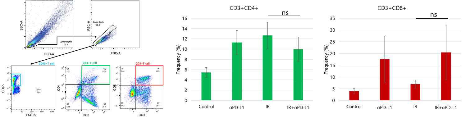 유세포분석 gating 및 TIL에서 CD4+ 또는 CD8+분포 그래프