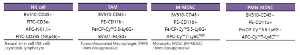 면역세포 마커 구성 II