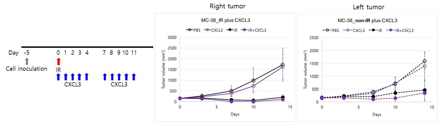 방사선과 Cxcl3 cytokine 병용 투여