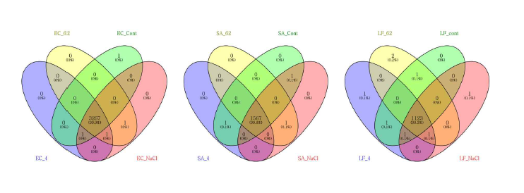 온도 및 염도 조건에 따른 E.coli (EC), S.aureus (SA), L.fermentum (LF)의 Pan-genome 분석