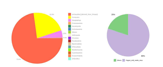 Refseq에 의해 확인된 kimchi_UMB의 생태 구성(왼쪽) 과 생태에서 73%를 차지하는 virus의 구성(오른쪽)